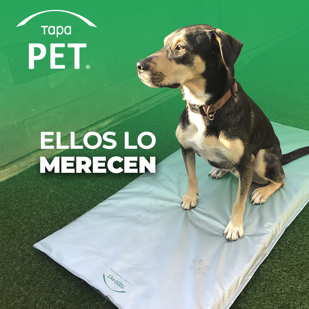 Tapete Cama Impermeable